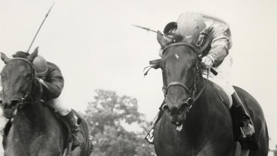 Safely Kept Test Stakes Bob Coglianese